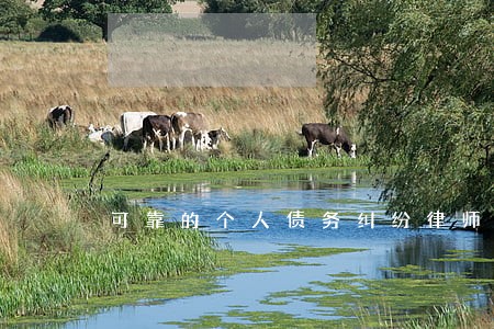 可靠的个人债务纠纷律师咨询 可靠的个人债务纠纷律师咨询