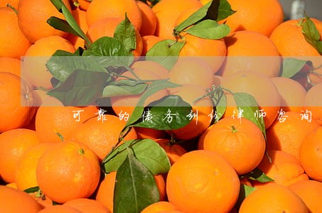 可靠的债务纠纷律师咨询电话 可靠的债务纠纷律师咨询电话