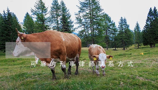 可靠的刑事律师联系方式 可靠的刑事律师联系方式