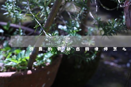 可靠的劳动合同律师怎么委托