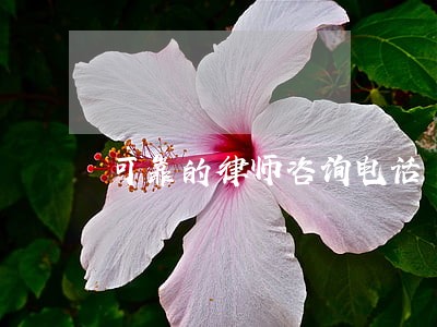 可靠的律师咨询电话 可靠的律师咨询电话