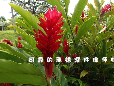 可靠的离婚案件律师收费 可靠的离婚案件律师收费