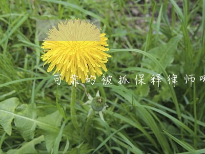 可靠的被抓保释律师哪里找 可靠的被抓保释律师哪里找