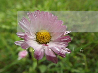 可靠高效律师咨询 可靠高效律师咨询