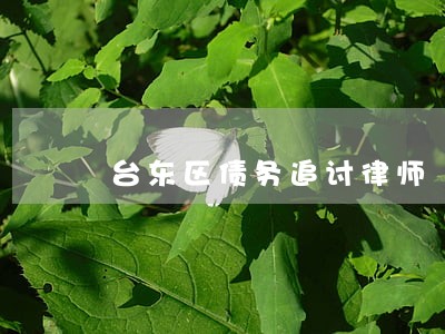 台东区债务追讨律师