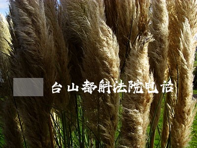 台山都斛法院电话 台山都斛法院电话