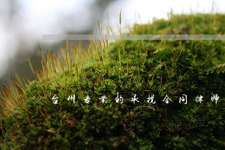 台州专业的承揽合同律师 台州专业的承揽合同律师