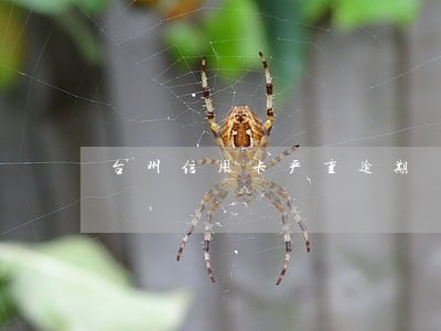 台州信用卡严重逾期 台州信用卡严重逾期