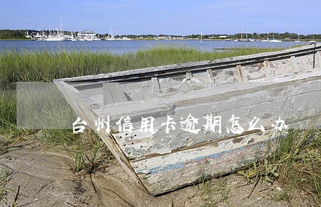 台州信用卡逾期怎么办 台州信用卡逾期怎么办