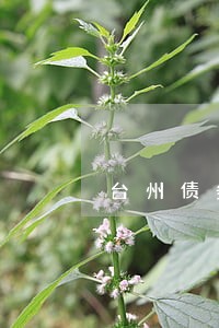 台州债务纠纷律师哪家好 台州债务纠纷律师哪家好