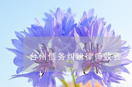 台州债务纠纷律师收费 台州债务纠纷律师收费