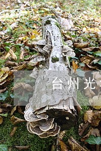 台州光华司法鉴定中心 台州光华司法鉴定中心