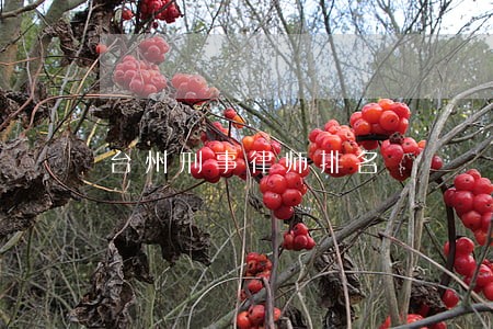 台州刑事律师排名 台州刑事律师排名