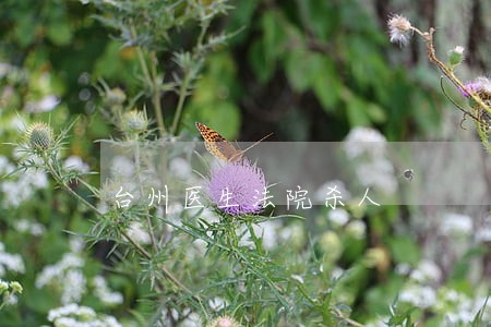 台州医生法院杀人