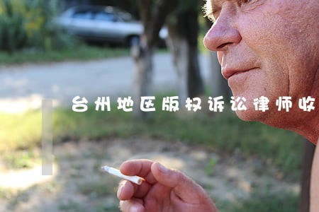 台州地区版权诉讼律师收费 台州地区版权诉讼律师收费