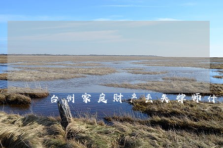 台州家庭财产丢失律师什么价格 台州家庭财产丢失律师什么价格