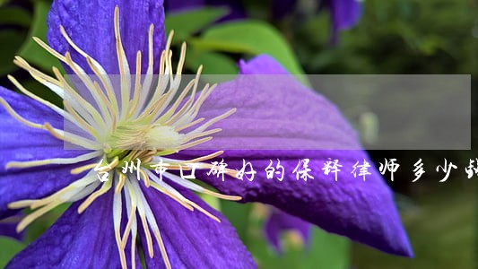 台州市口碑好的保释律师多少钱 台州市口碑好的保释律师多少钱