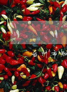 台州市知识产权律师介绍 台州市知识产权律师介绍