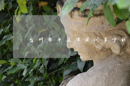 台州常年法律顾问多少钱 台州常年法律顾问多少钱