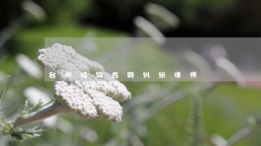 台州检验合同纠纷律师 台州检验合同纠纷律师