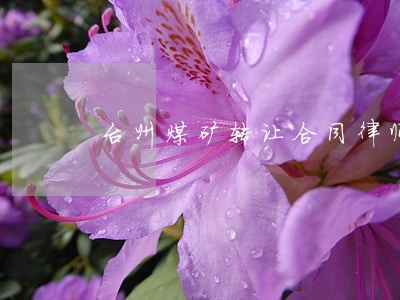 台州煤矿转让合同律师 台州煤矿转让合同律师