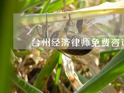 台州经济律师免费咨询 台州经济律师免费咨询