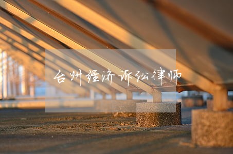 台州经济诉讼律师 台州经济诉讼律师