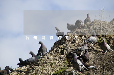 台州网贷逾期怎么办 台州网贷逾期怎么办
