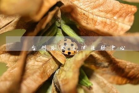 台州路桥法律援助中心 台州路桥法律援助中心