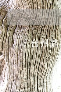 台州路桥路桥法院拍卖网