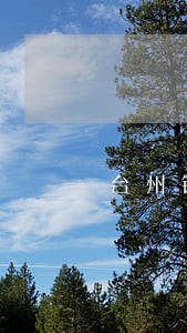 台州银行信用卡逾期协商 台州银行信用卡逾期协商