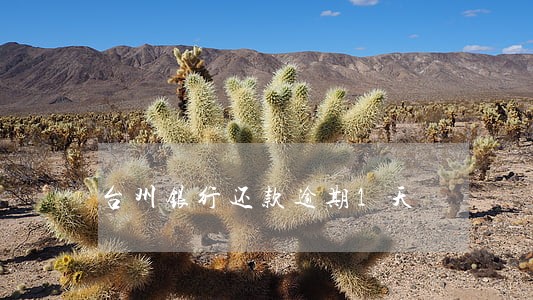 台州银行还款逾期1天 台州银行还款逾期1天