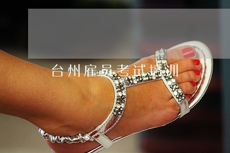 台州雇员考试培训 台州雇员考试培训