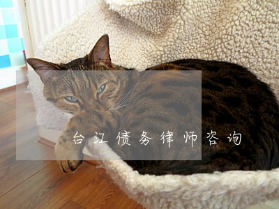 台江债务律师咨询 台江债务律师咨询