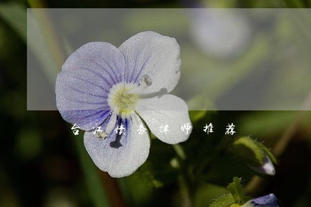 台江债务律师推荐 台江债务律师推荐