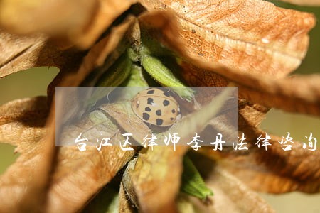 台江区律师李丹法律咨询 台江区律师李丹法律咨询
