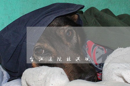 台江法院林洪斌 台江法院林洪斌