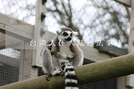台湾人在大陆违法驱逐