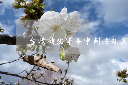 台湾修改军事审判法规案件 台湾修改军事审判法规案件