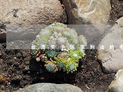 台湾关于医事刑法的书