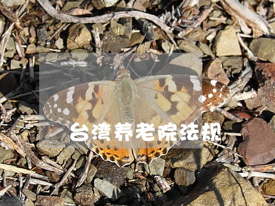 台湾养老院法规 台湾养老院法规