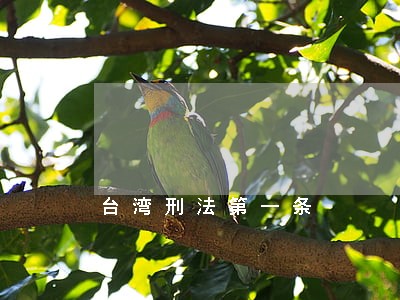 台湾刑法第一条 台湾刑法第一条
