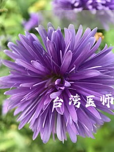 台湾医师违法执业 台湾医师违法执业