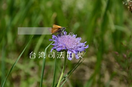 台湾司法拍卖 台湾司法拍卖