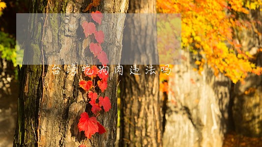 台湾吃狗肉违法吗 台湾吃狗肉违法吗