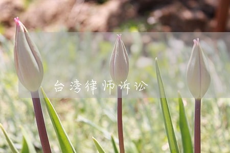 台湾律师诉讼