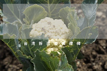 台湾拆迁咨询律师