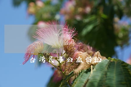 台湾民事公益诉讼