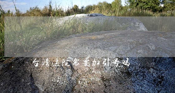 台湾法院需要加引号吗
