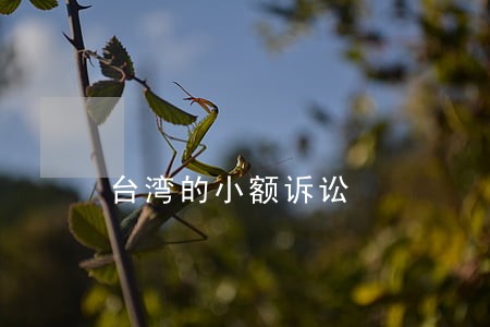 台湾的小额诉讼 台湾的小额诉讼